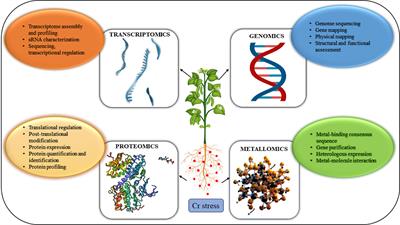 Systems biology of chromium-plant interaction: insights from omics approaches